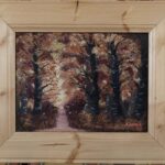 Autumn Forest Walk