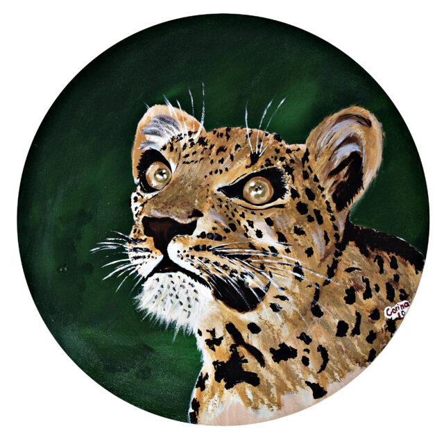 Cheetah Acrylic Painting