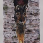 Watchful Wolf