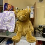 Another Bear!
