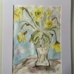 Daffodil Droop